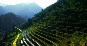 遂川天气预报40天准确率高，吉安遂川天气