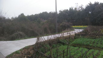 成都为什么没把牧马山建成