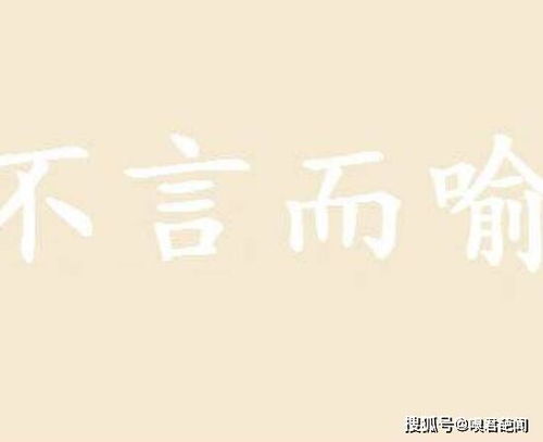 不言而喻什么意思?