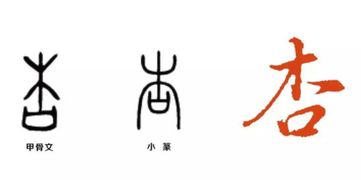 杏子的杏组词和拼音，杏子的杏组词哦不对造句