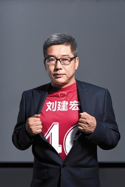 刘建宏球技如何