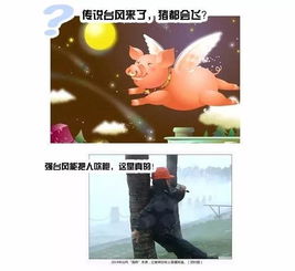 针什么什么什么成语，秋天的风什么什么什么