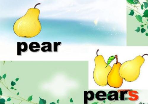 pear怎么读 正确发音教学?