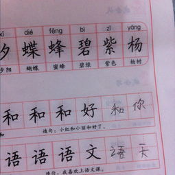 天字的组词是什么