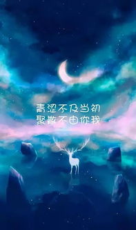 风走了八千里 不问归期 全部的诗句是什么?
