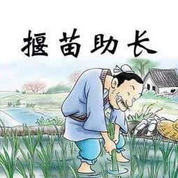 《揠苗助长》读后感