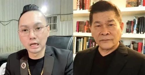 鹜的意思是什么，毅然决然的意思