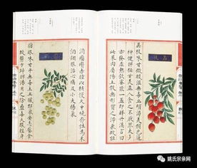 蒿莱的释义，蒿菜粑粑