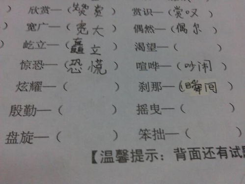 近义词大全集1000个，近义词大全500个