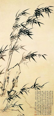 竹石的作者是郑燮还是郑板桥，竹石的作者叫什么名字怎么读