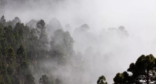 《游褒禅山记》原文及翻译