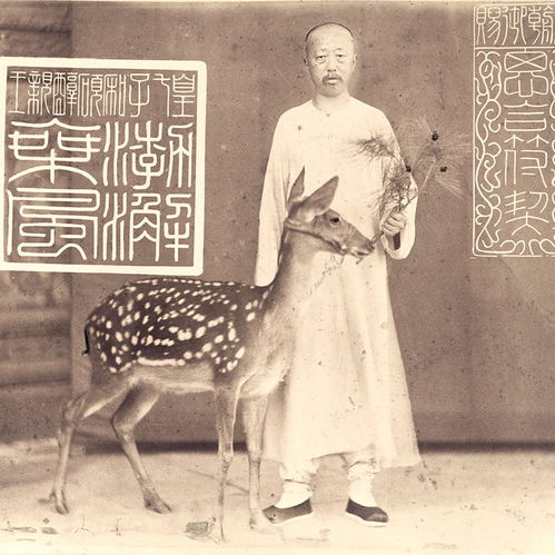 光绪他亲爹醇亲王的名字叫奕什么?
