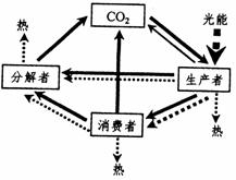 氢气的化学式