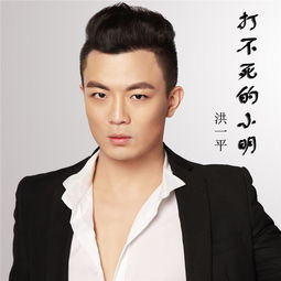 洪一平子月是什么电视剧