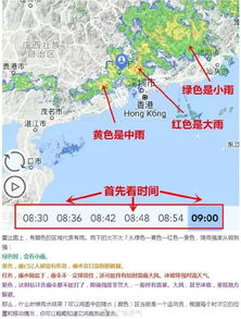 广东有哪几个省?