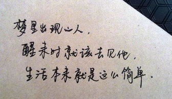 薛兆丰奇葩说经典语录，艾力奇葩说经典语录
