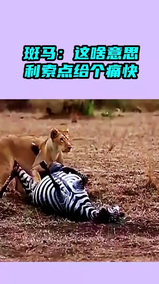 利索的意思是什么