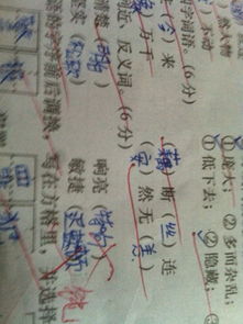 嘹亮的近义词，响亮的近义词和反义词是什么 标准答案