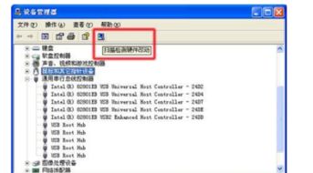 scan是什么意思啊