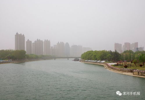 漯河近期天气