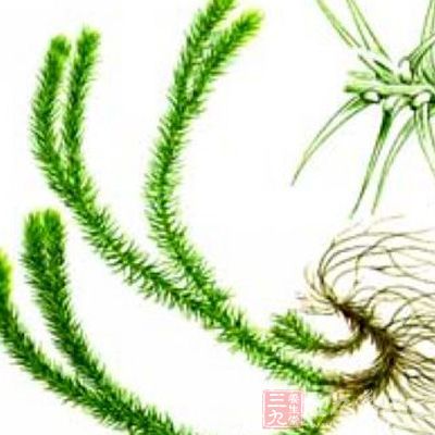 phlegmatic，phlegm怎么读