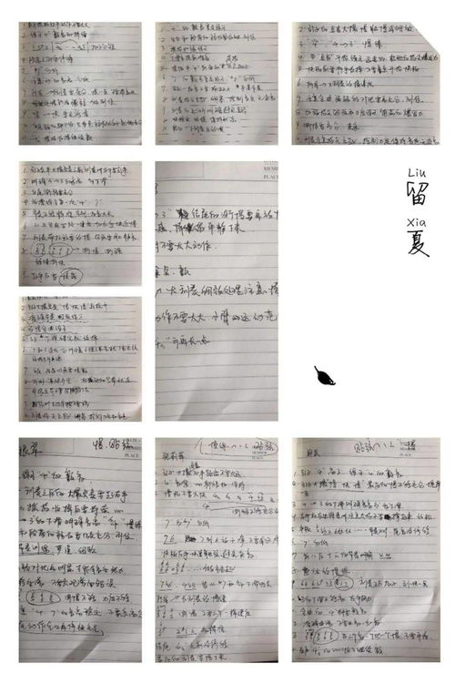 常用的评语