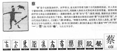 蔡五笔怎么打的字，蔡五笔怎么打字五笔字根