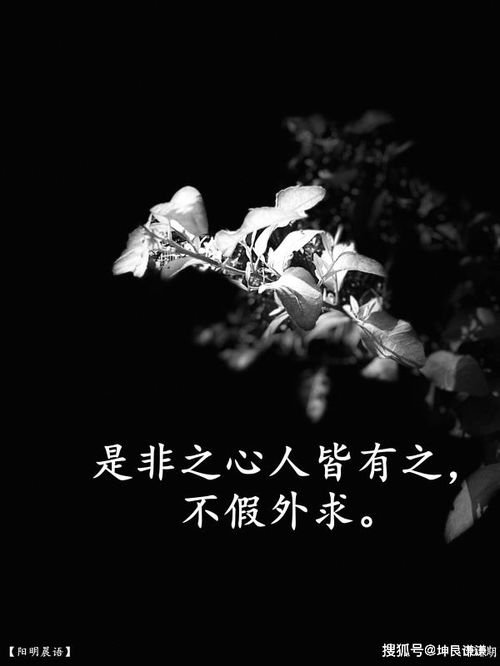 是非之心什么意思