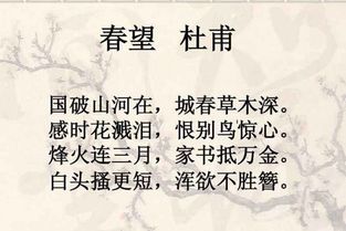 表现爱国主义的诗句六年级，体现思乡之情的诗句