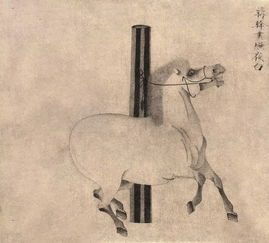 照夜白的评价