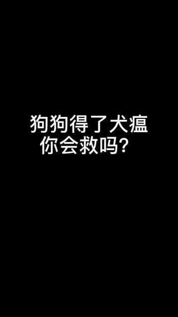 《我舍不得》歌词?