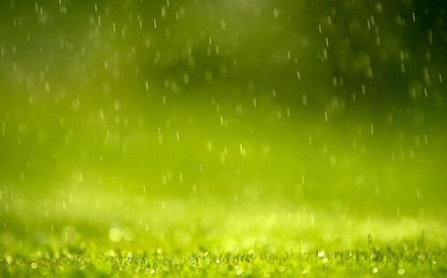 春天的雨像什么?