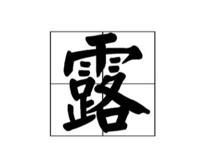 露的读音和组词，露宿的读音