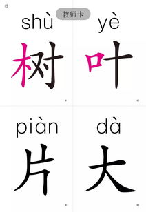 众的拼音组词，从的拼音