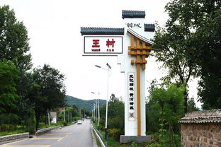 王村村，王村南街