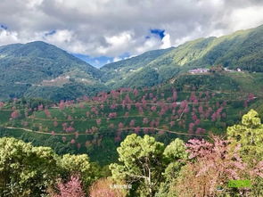 云南有个无量山在哪里?