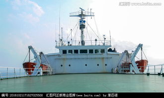海轮轮胎，海轮王玉米播种机