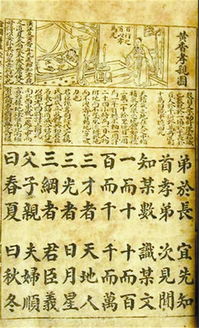 纲常什么意思