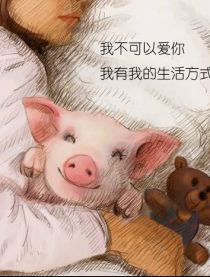 两只小猪呼噜噜，两只小猪之勇闯神秘岛好看吗