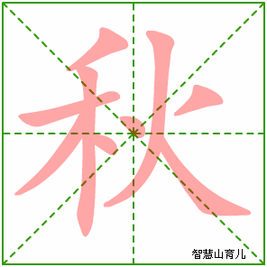 网字的笔顺