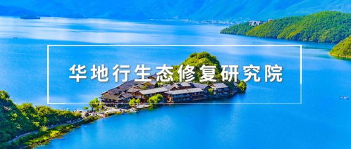 滨是什么意思