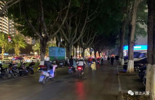 觅路小说免费阅读，觅路冰岛三分甜