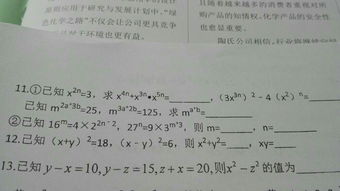 初二数学书答案北师大版，初二数学书答案下册