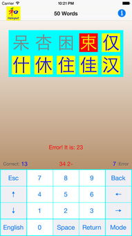 以下选项中哪种不是汉字输入码，区位码属于汉字输入码