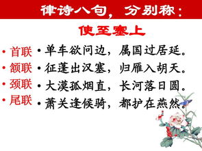 首联颔联颈联尾联的简介首联颔联颈联尾联怎么读