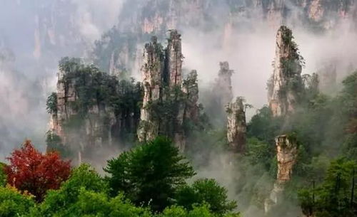 求江西玉山,也就是三清山景区未来15天的天气预报,谢谢!!