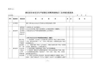 公司自查报告