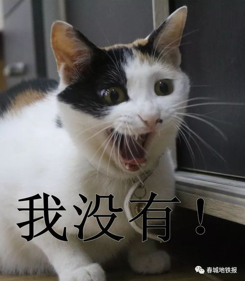 提心吊胆的近义词是什么
