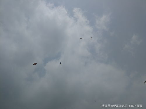 漂浮的近义词是什么?