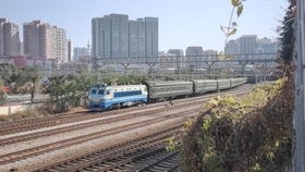 k336座位图，k336是什么车